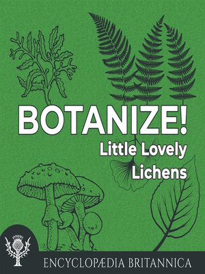 cover image of Little Lovely Lichens